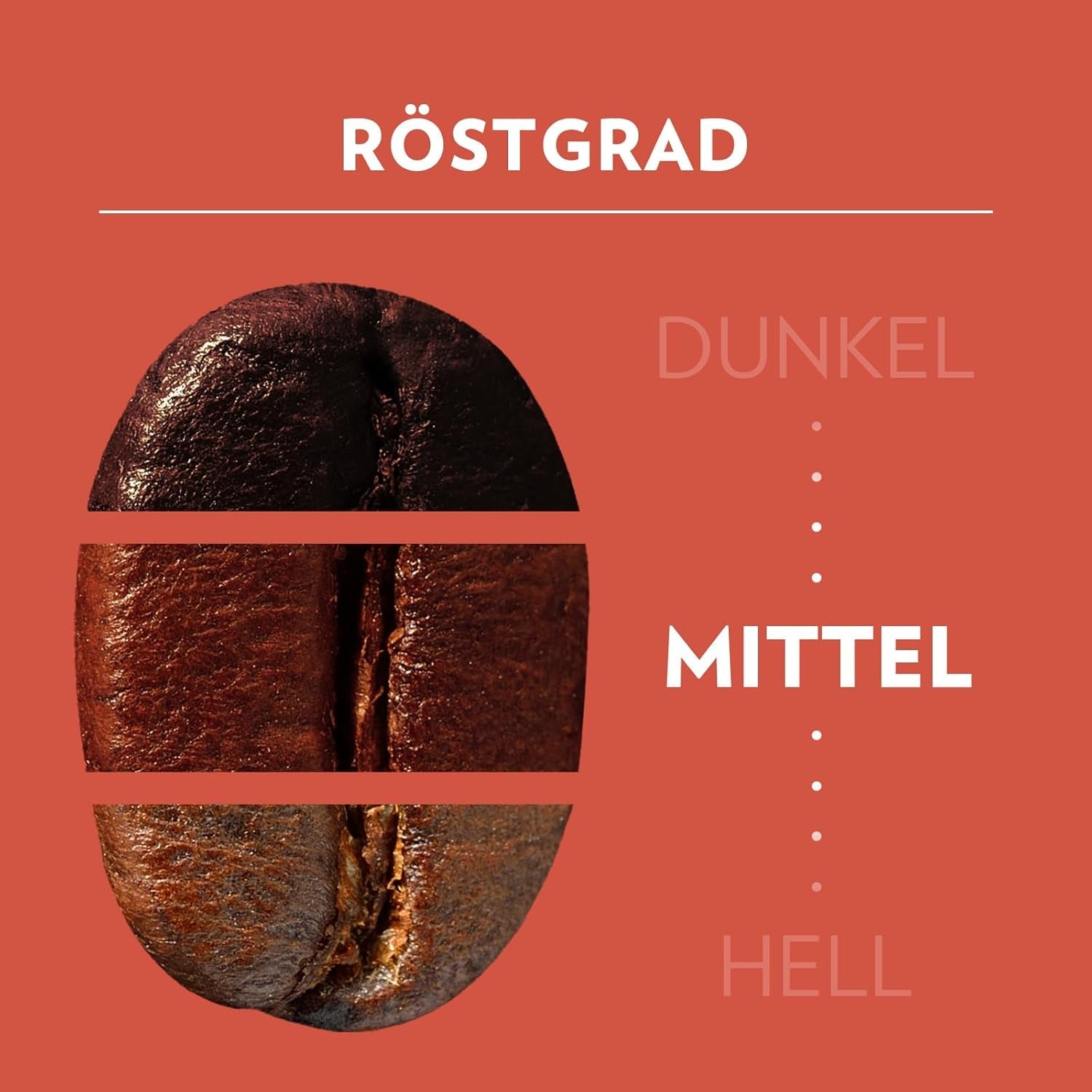 Lavazza, Tales of Roma, Kaffeebohnen, ideal für Espressomaschinen, mit Aromanoten von Haselnuss und dunkler Schokolade, Arabica und Robusta, 250 Gramm Coffee Naty Shop