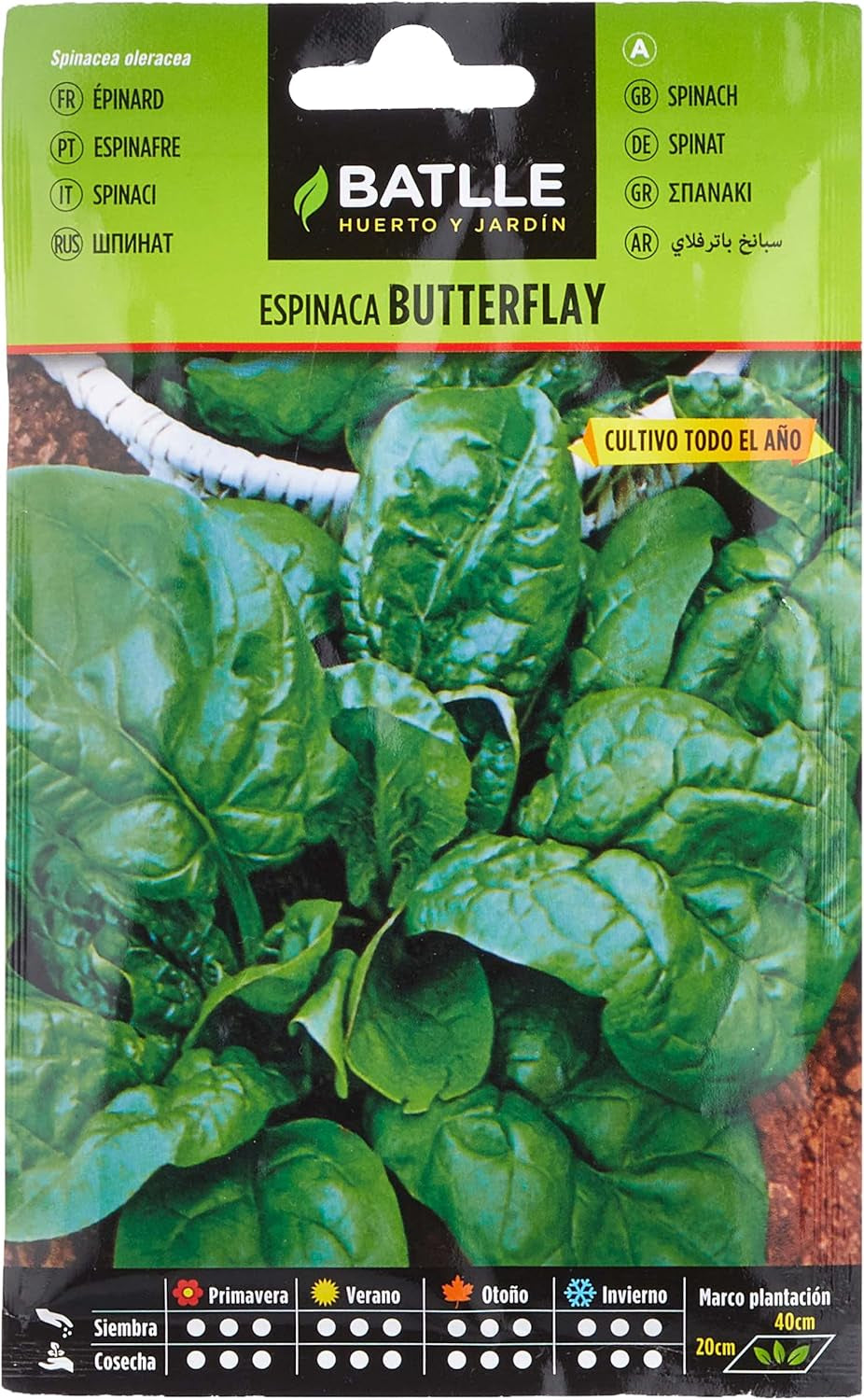 Batlle Gemüsesamen - Spinat Butterflay (1700 Samen)