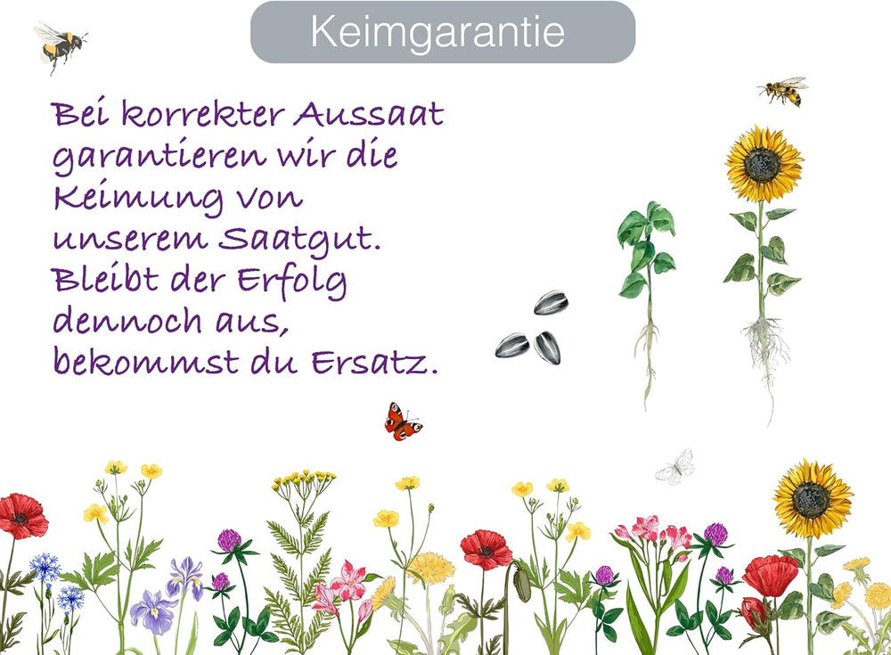 Löwenmäulchen Samen (Lat. Antirrhinum) – Mehrjährige Blütenpracht Für Garten & Balkon | Bunte & Lange Blütezeit | Fördert Biodiversität & Lockt Hummeln Und Bienen an | Samen Aus DE (5.000 Samen)
