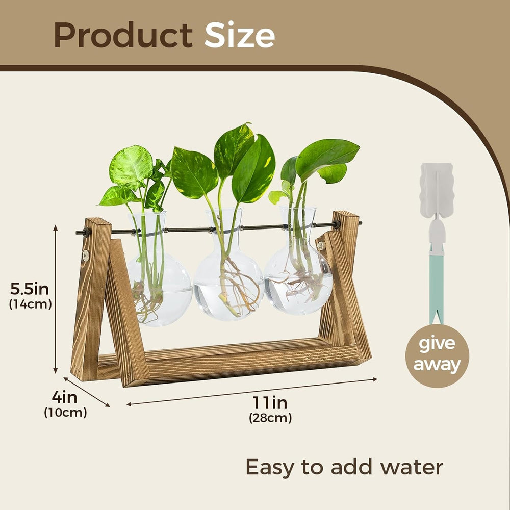 Stație de propagare hidroponică Bamworld cu suport din lemn – 3 vaze din sticlă pentru creșterea plantelor acvatice și decorarea casei