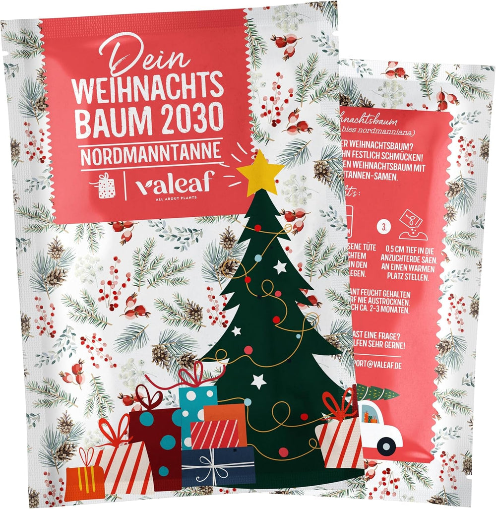 Brad de Crăciun 2030 - Semințe de brad Nordmann pentru plantarea unui brad de Crăciun, ideal ca și cadou de Crăciun Secret Santa