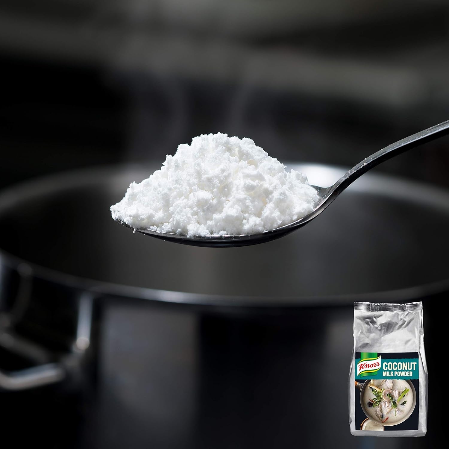 Knorr Kokosmilch Pulver (Milchpulver aus 20 frischen Kokosnüssen, ergibt 6,6 Liter Kokosmilch) 1er Pack (1 x 1 kg)