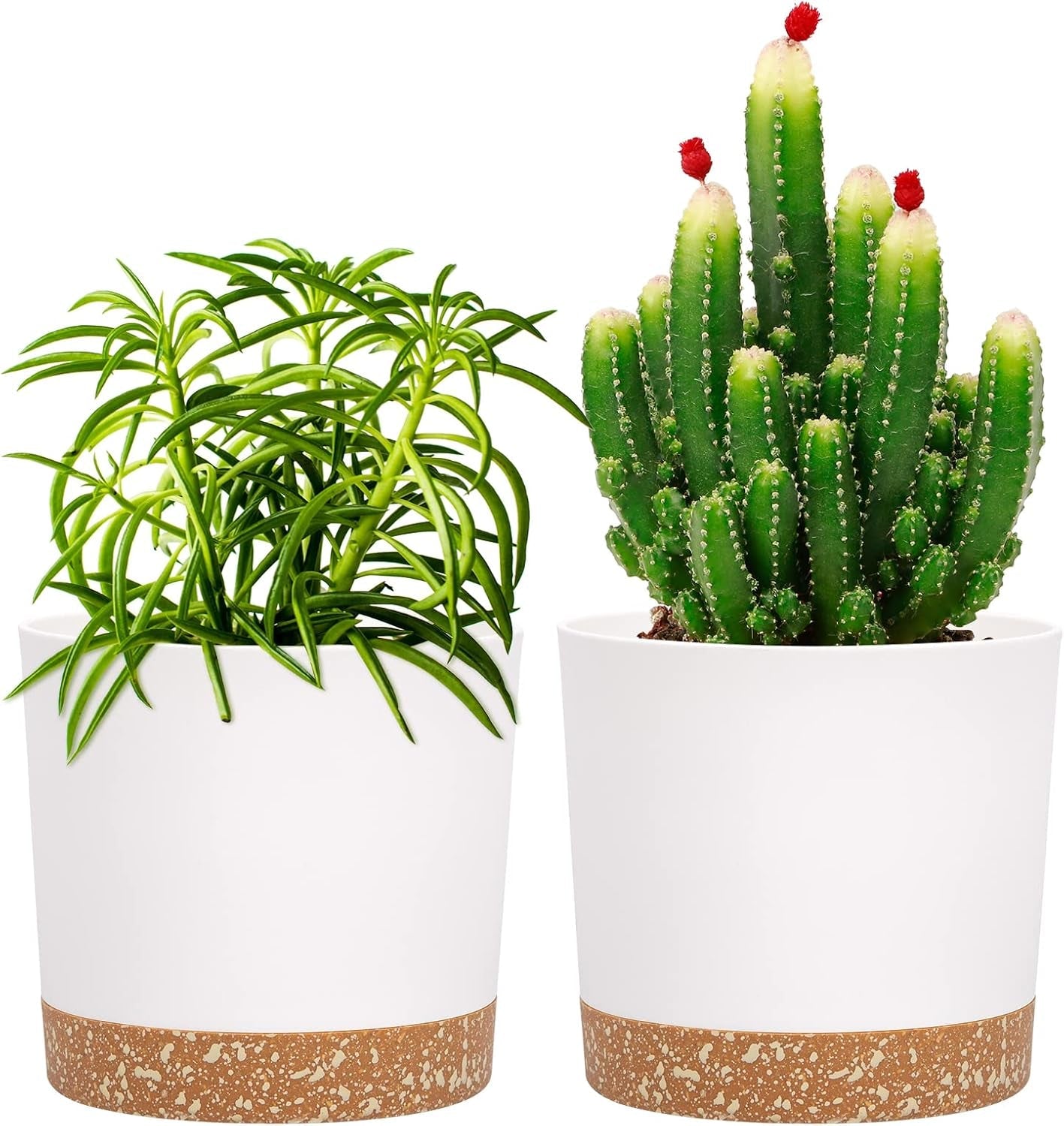 Ghiveci de flori set de 2 12,7 cm, ghivece pentru plante de interior cu găuri de drenaj și bază detașabilă, farfurioare decorative moderne pentru jardiniere de grădină de exterior (alb 12,7 cm)