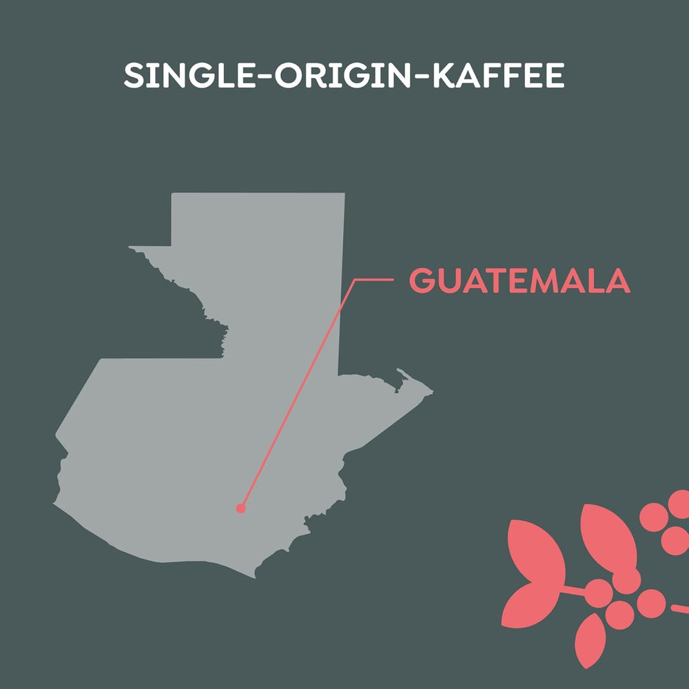 Melitta Manufaktur-Kaffee Guatemala Honig, Spezialitätenkaffee, 250 g, ganze Kaffeebohnen, ungemahlen, Single Origin Kaffee, zarte Trommelröstung, in Deutschland geröstet, Stärke 3 Kaffee Naty Shop