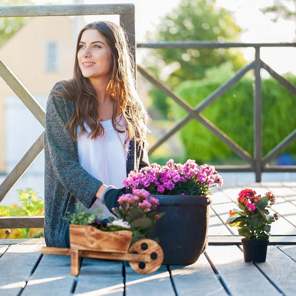 Roabă de plantat Relaxdays, lemn ars, decorațiune de grădină, design vintage, pentru plantare, ÎxLxA: 19 x 47 x 15 cm, naturală