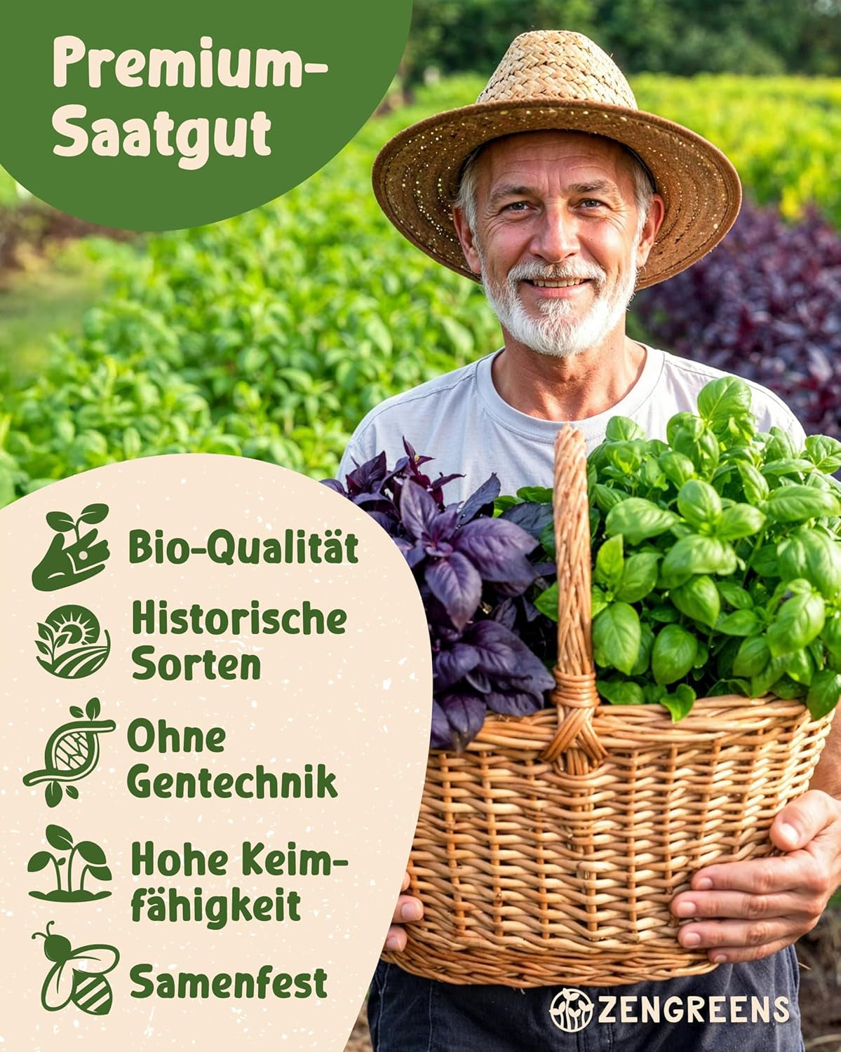 Semințe de busuioc organice într-un set de 6 - 6 semințe de busuioc pentru cultivare ușoară în grădină, balcon sau strat înălțat - semințe de plante - răsaduri