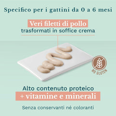 Hrană umedă pentru pisici mici cu cremă de pui și pui - Hrană umedă pentru pisici mici - Hrană umedă pentru pisici cu cremă de pui, fără cereale, cu conținut ridicat de proteine, vitamine și minerale (20 pliculețe x 150 g)