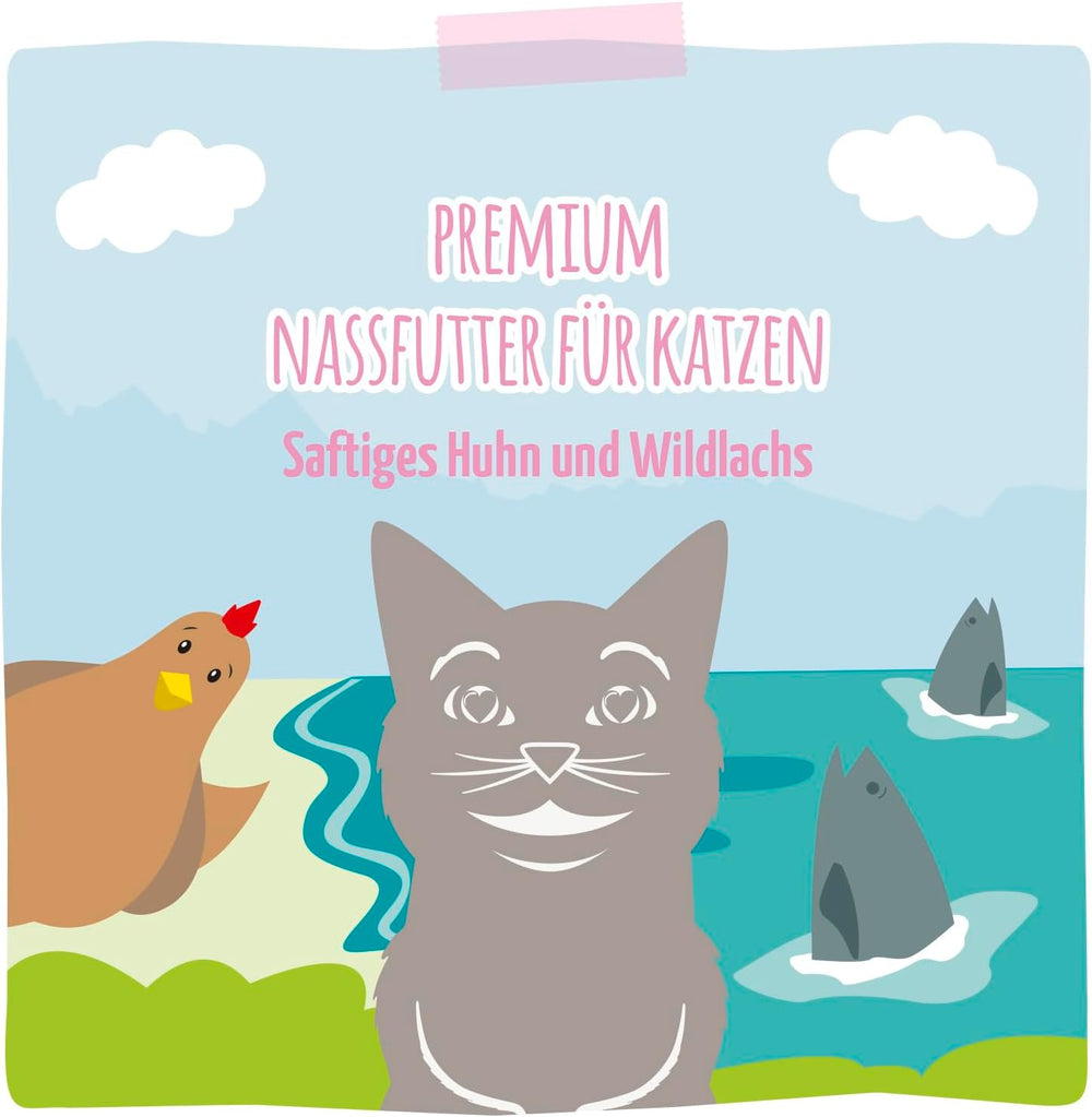 MjAMjAM - Hrană umedă premium pentru pisici - pui suculent și somon sălbatic, pachet de 6 (6 x 400 g), fără cereale cu carne suplimentară