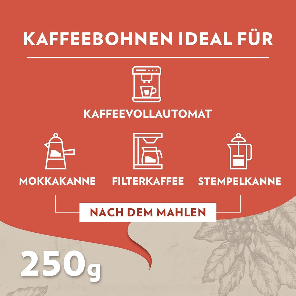 Lavazza, Tales of Roma, Kaffeebohnen, ideal für Espressomaschinen, mit Aromanoten von Haselnuss und dunkler Schokolade, Arabica und Robusta, 250 Gramm Coffee Naty Shop