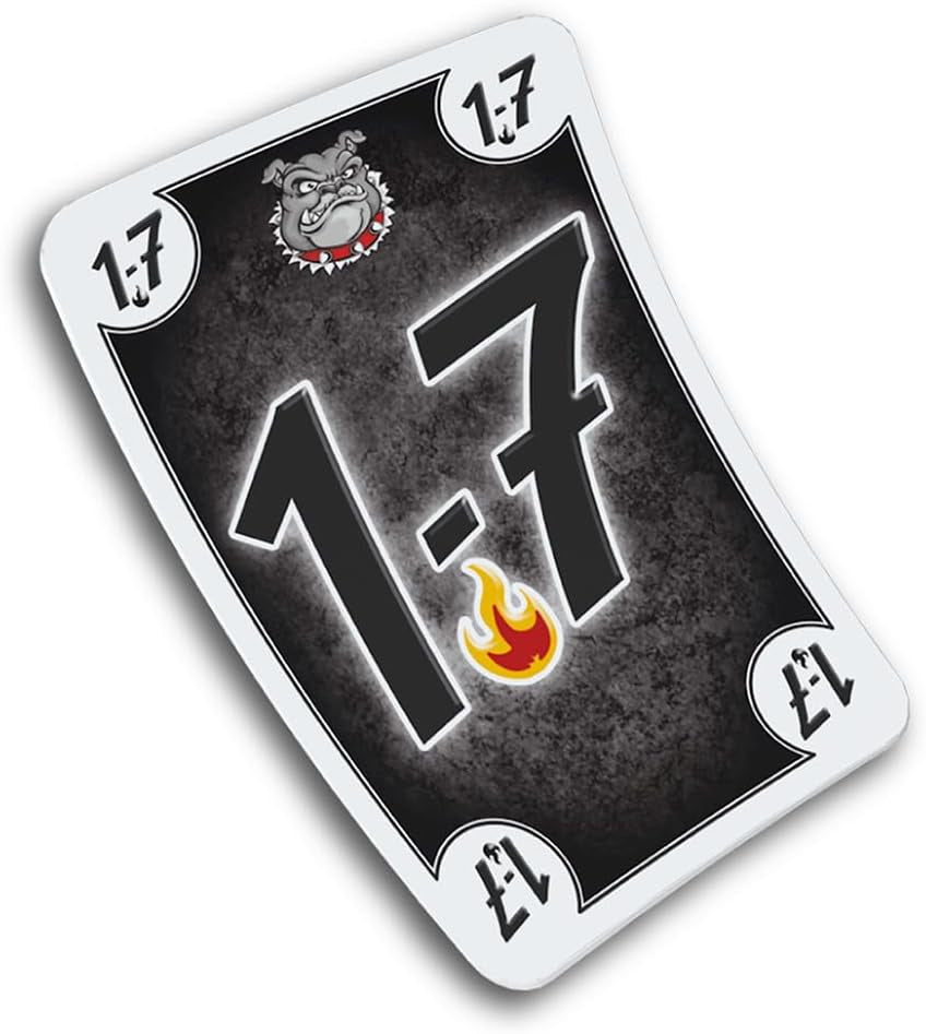 Schmidt Spiele 49323 Schwarzer HUND, Familienspiel