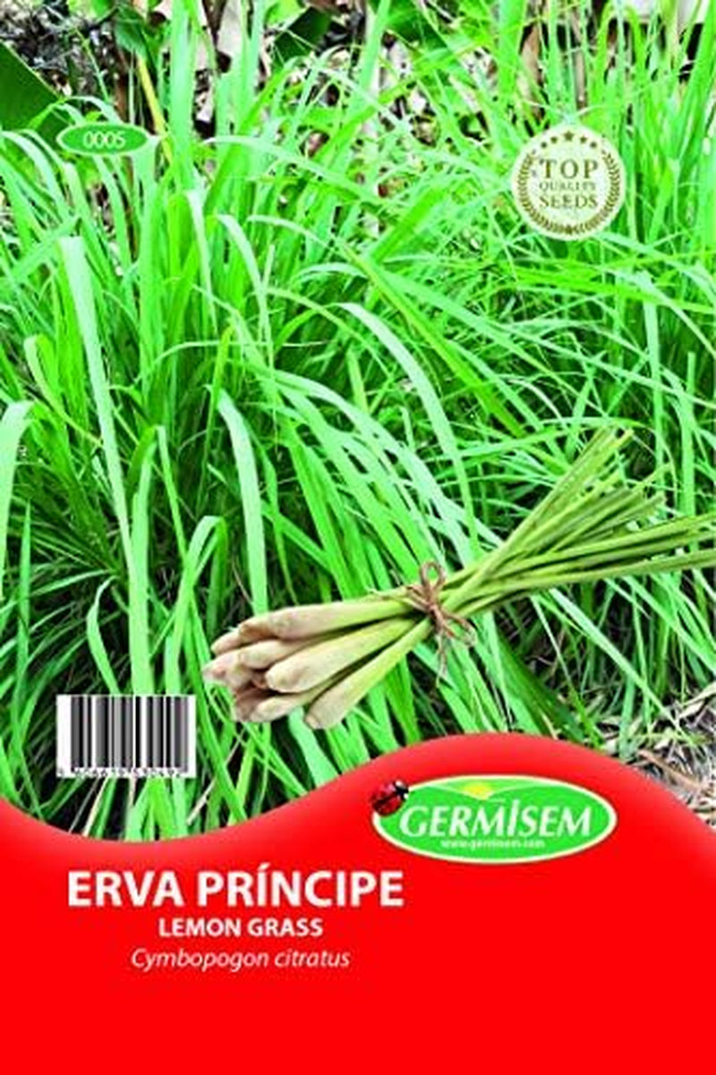 Grass - Zitronengras EC0005 Mehrfarbig