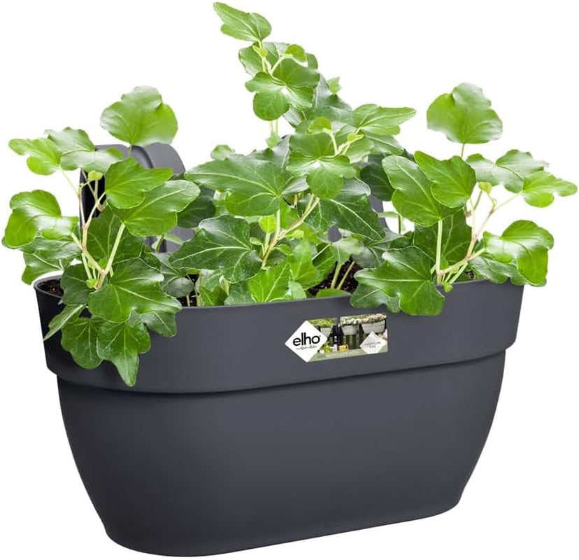 elho Vibia Campana Easy Hanger M 36 - Ghiveci pentru balcon și exterior - Ø 36,0 x H 26,5 cm - Negru/Antracit