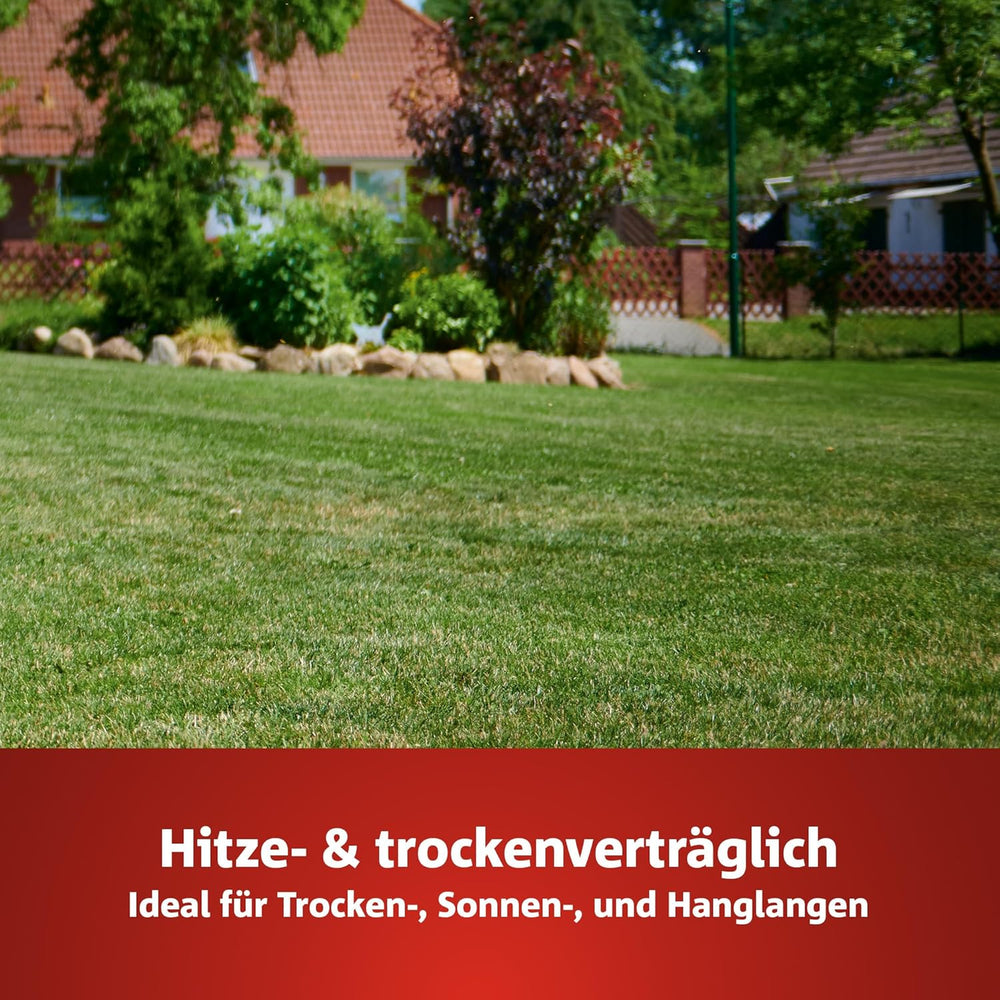 Wolf-Garten Trocken-Rasen PREMIUM L-TP 100 (Für 100 M², Hohe Dichte Mit Ca. 70.000 Trieben/M2, Sehr Gute Hitze- Und Trockenverträglichkeit, Widerstandsfähig Gegen Frost, 3 Kg Faltschachtel) 3824641
