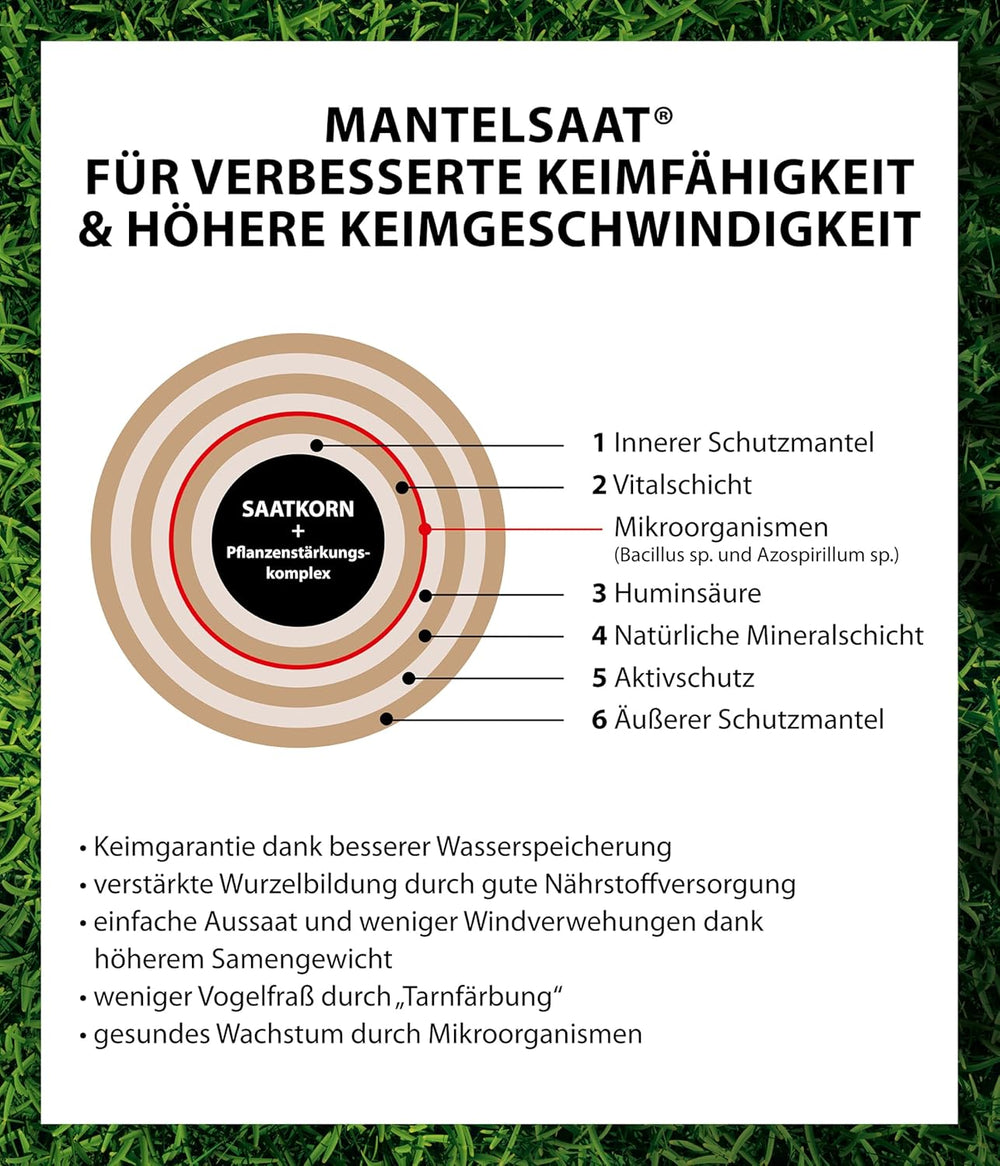 Dehner Saatgut Schattenrasen, Hochwertige Rasensamen Schnell Keimend/Selbstregenerierend, Ideal Für Schattige/Halbschattige Flächen, Fsc-Zertifizierte Verpackung, 1.25 Kg Für Ca. 50 M²