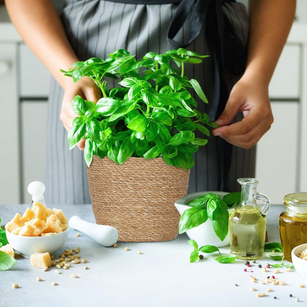 Ghiveci de flori Relaxdays din iarbă de mare, set de 3, rotund, pentru flori și ierburi, coș de plante cu folie, 3 dimensiuni, jardinieră, naturală