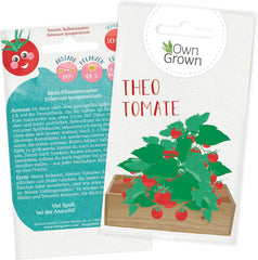 Balkon Tomaten Samen Für Ca 5X Tomaten Pflanze Theo : Premium Tomatensamen Für Kinder Und Erwachsene – Gemüse Samen – Garten Und Balkontomaten Samen – Gemüse Saatgut Für Kids – Saatgut Balkon Owngrown