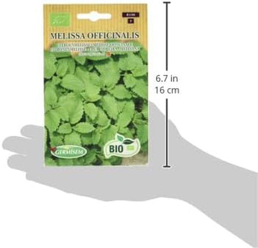 Zitronenmelisse MELISSA OFFICINALIS ECBIO1106