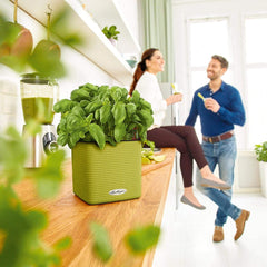 LECHUZA CUBE Culoare 16 gri ardezie 13584