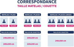 Bleu Câlin Warme Steppdecke für 1 Person „Gamme Signature“, weicher Mikrofaserbezug, 140 x 200 cm Steppdecken und Steppdecken Naty Shop