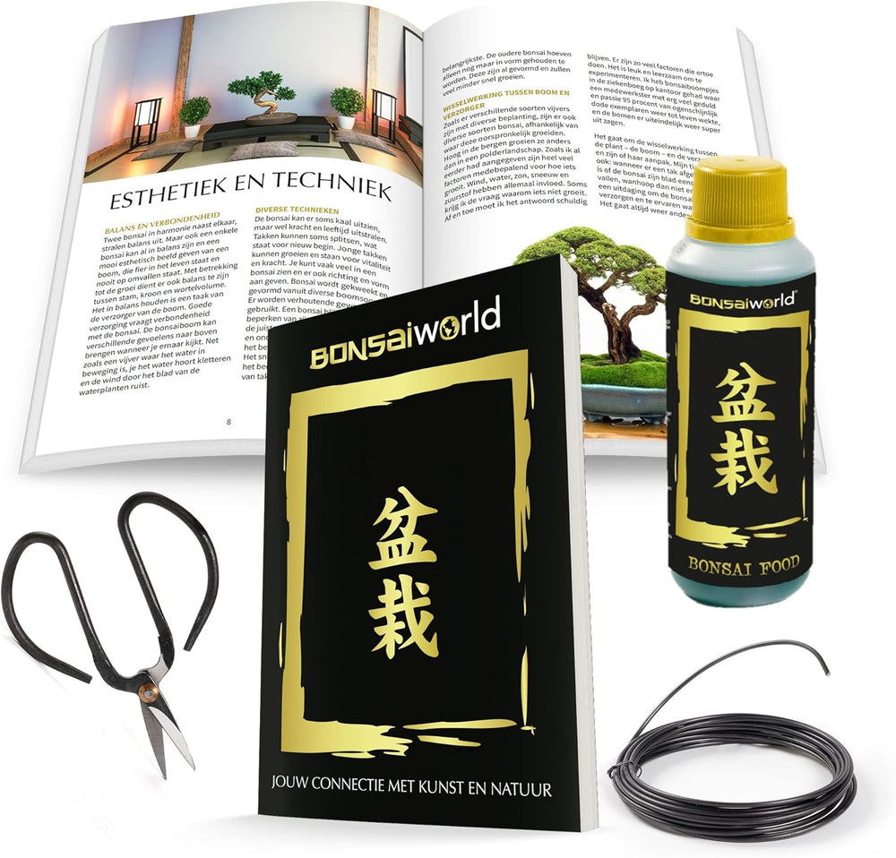 Vdvelde.Com - Bonsai-Starter-Set Buddha-Wasserfall - • Buddha-Wasserfall-Set Mit Netzstromanschluss • 30 X 13 Cm ↥ Ca. 30 Cm • Inkl. Pflegeleichtem Wassersystem + Pflegeset