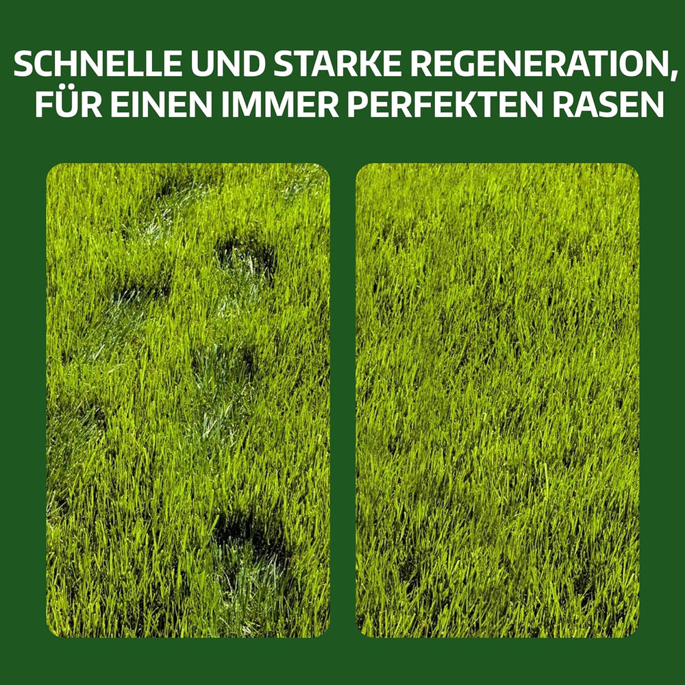 LERAVA Rasensamen Bermudagras (200 G) - Für 20 M² - Extrem Trittfest Und Trockenheitsresistent - Schnellwachsender Rasen Für Mediterrane Und Küstennahe Flächen - Spart Bis Zu 20% Wassera