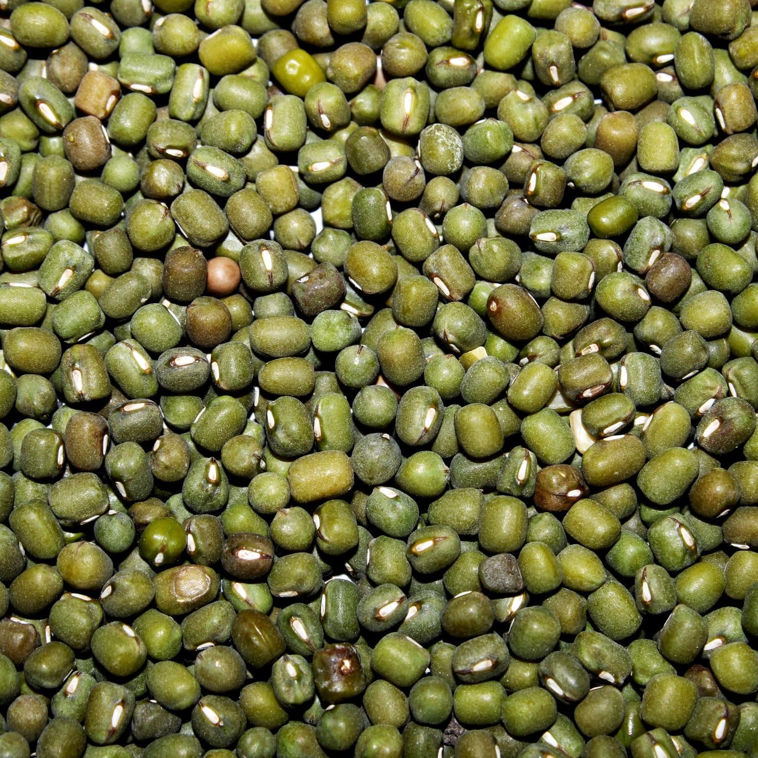 AFROASE - Fasole verde mung - 1 x 1 kg (Pachet de 2)
