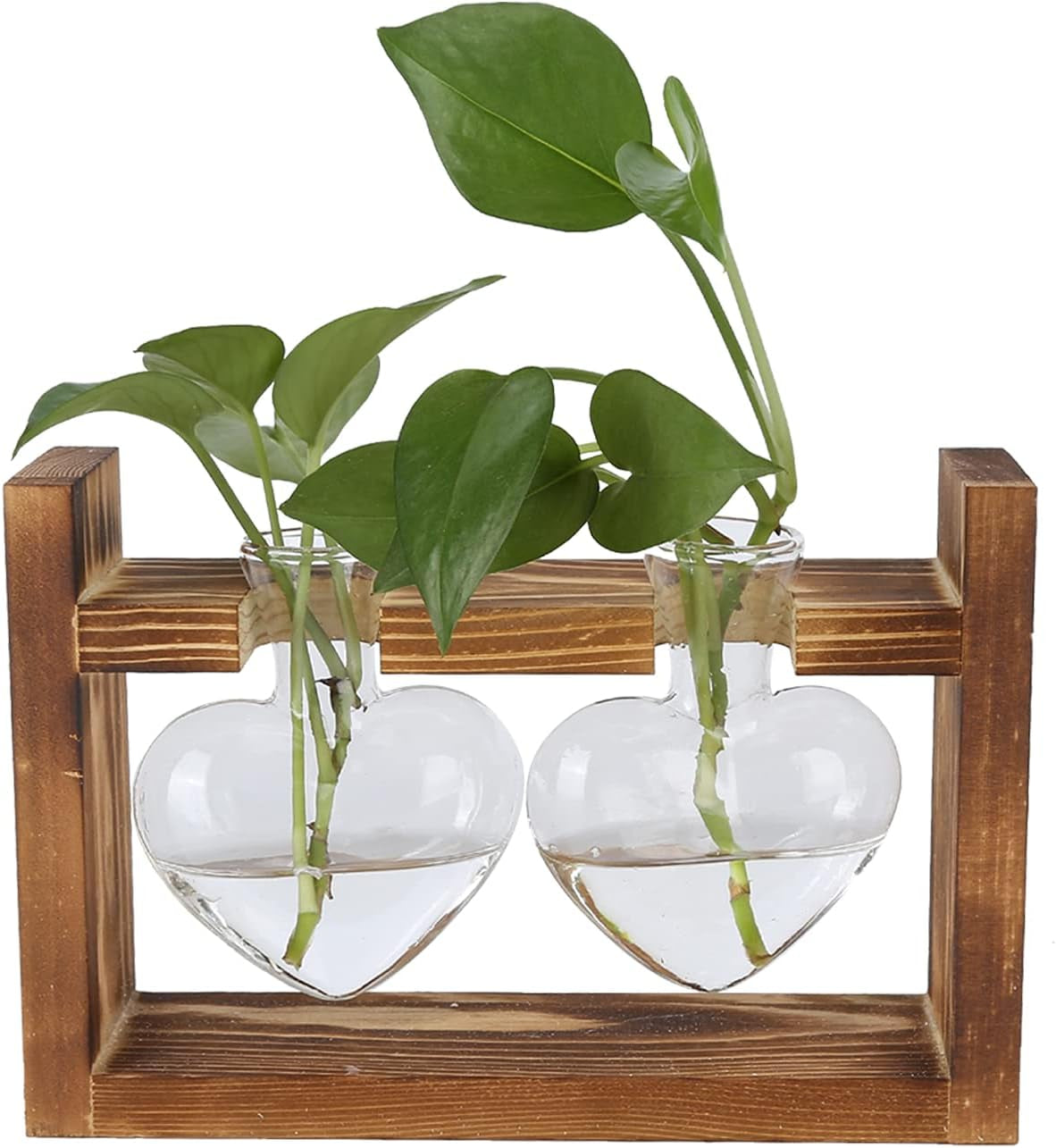 Terariu cu plante cu suport din lemn, vază de masă în formă de inimă, plante hidroponice din sticlă transparentă pentru decorarea grădinii de acasă, decorațiune hidroponică cu flori pentru birou, living, bucătărie (A)