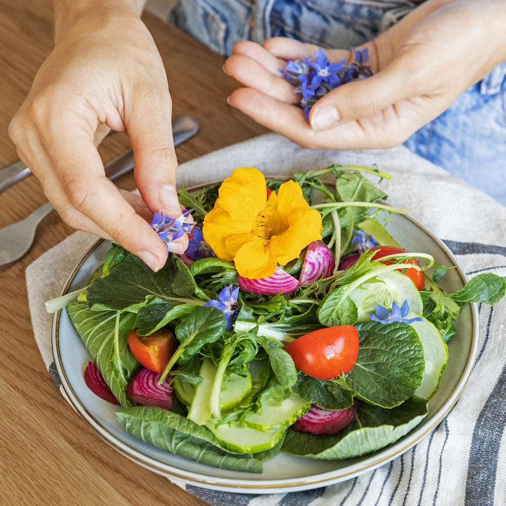 Essbare Blumen Samen Set : Delikatess Blüten Blumensamen Set mit 6 Sorten Blumen Saatgut – Essbare Blüten Samen – Essbare Blumen für Torte – Essbare Blüten Tortendeko – Blumen Essbar von OwnGrown