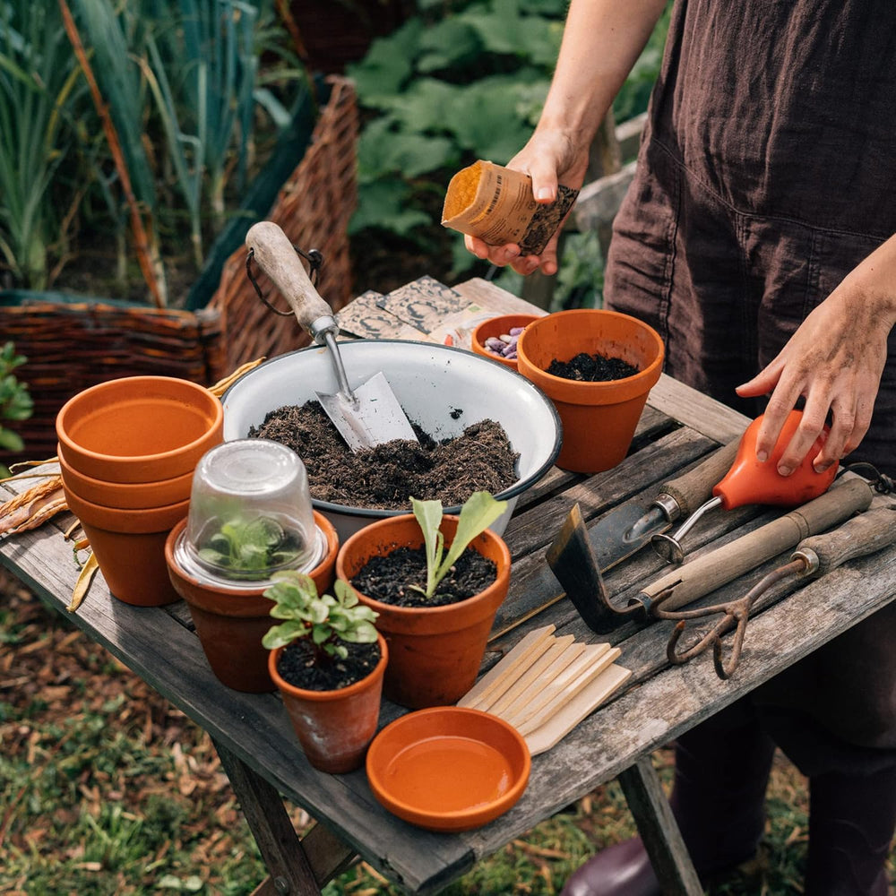 Magic Garden Seeds - Selbstgemachter Kräutertee - Samen Geschenk Set Mit 6 Wohltuenden Kräutersorten - Anzuchtset Mit Pfefferminze, Zitronenmelisse, Salbei, Bergminze, Eisenkraut Und Gewürzfenchel
