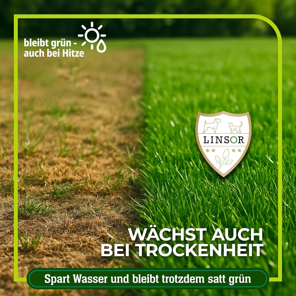 Rasensamen Schnellkeimend – Zauberrasen 4 Kg Für 200 M² Schnell Wachsender Rasen Mit Schneller Begrünung Pflegeleicht Für Dichten Gleichmäßigen Rasen