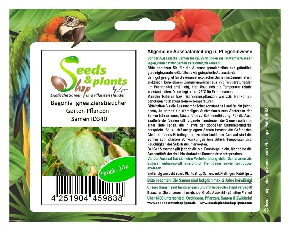 Stk - 10X Begonia Ignea Ziersträucher Garten Pflanzen - Samen ID340 -