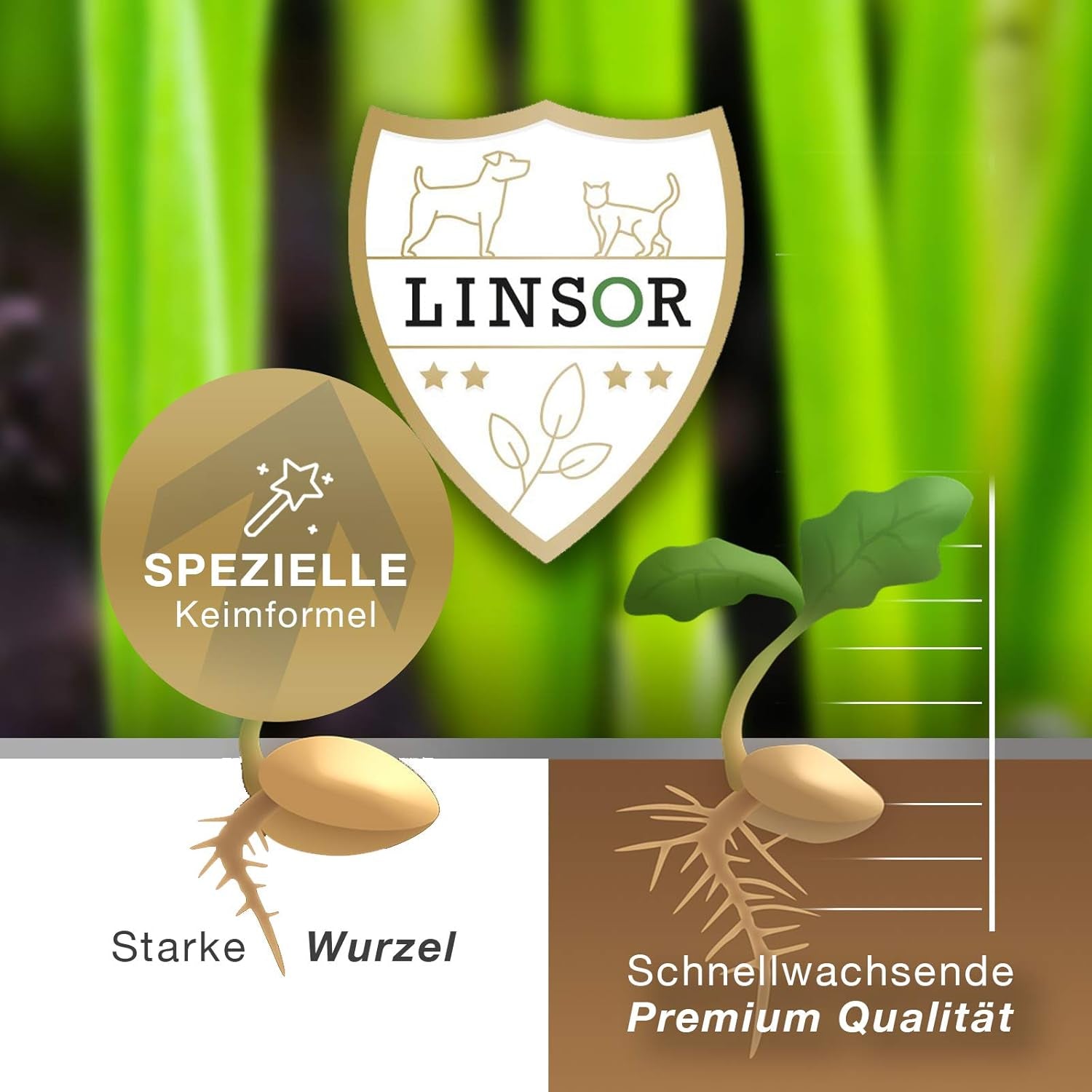 Gründüngung Sommeraussaat, Saatgut, Humusbildung, Bienenmagnet, 1Kg Für 250M²