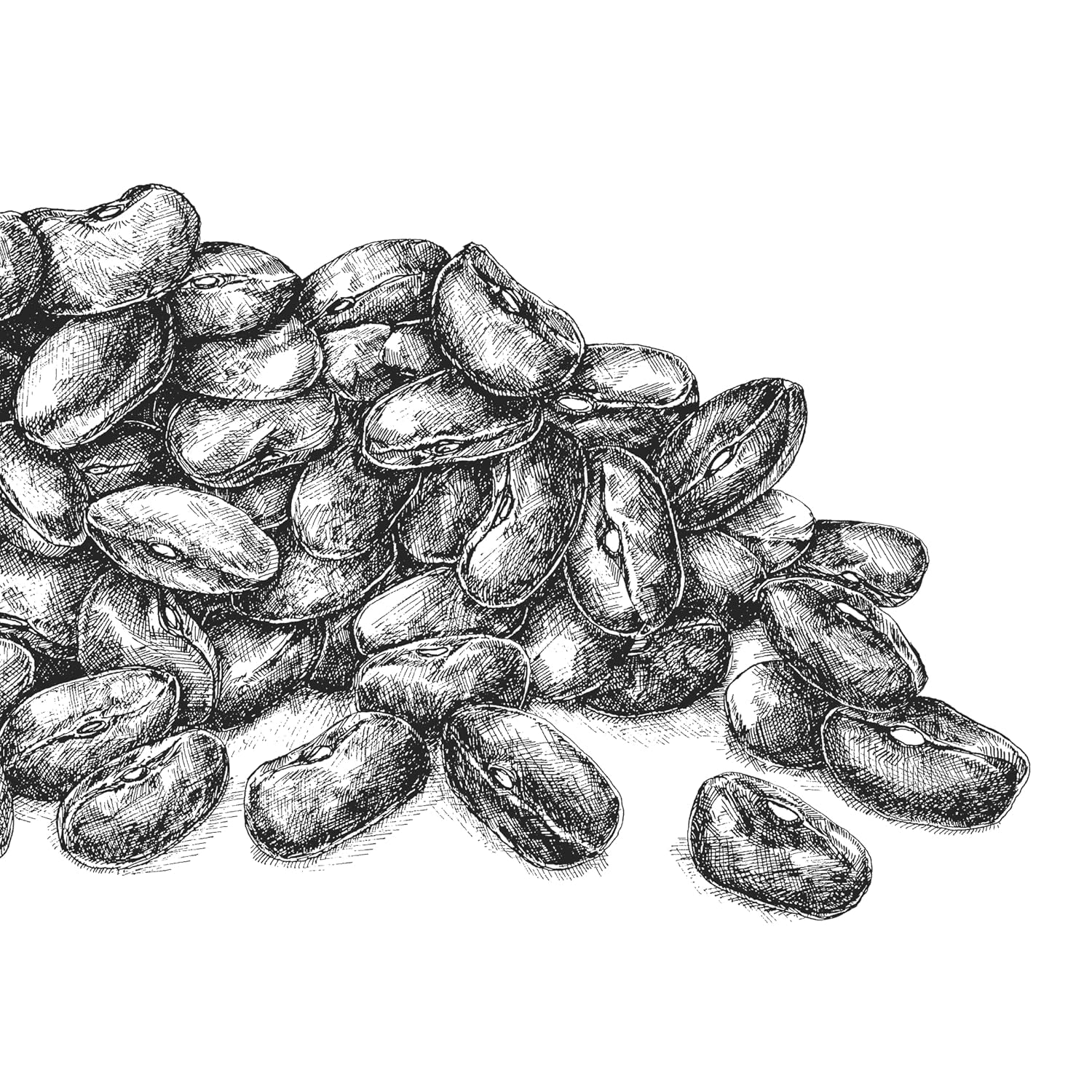 Buchweizen BioGourmet Demeter – 500g Beutel | Glutenfrei, ballaststoffreich und regional | Aus deutschem Bio-Anbau (Baden-Württemberg/Bayern) | Ideal für Müsli, Salate und Beilagen