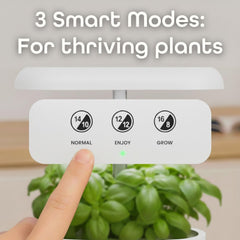 Nouri 7 Pod + Busuioc Heirloom | Grădină inteligentă pentru bucătari de acasă | Sistem de creștere hidroponică | Lumini LED de creștere | Kit de grădinărit cu plante aromatice de interior pentru iubitorii de plante și grădinari, Alb