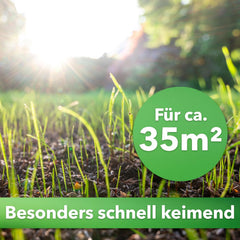 Hesa Nachsaatrasen, 1 Kg Für 35 M², RSM 3.2, Schnellkeimende Premium Rasennachsaat Von Frühling Bis Herbst, Rasenreparatur in Profiqualität