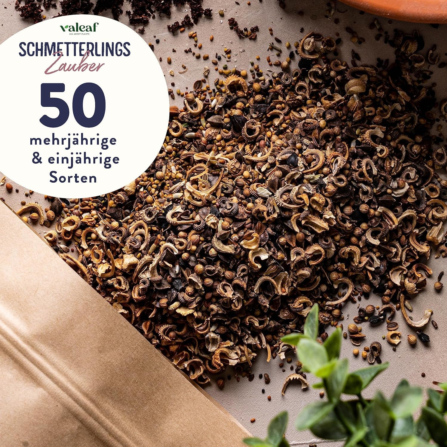 Schmetterlingswiese I 200 G I Blumenmischung Für 200 M² I Blumenwiese Samen Mehrährig Und Einjährig I Wildblumensamen Für Schmetterlinge Und Bienen I Wiesenblumen Samen