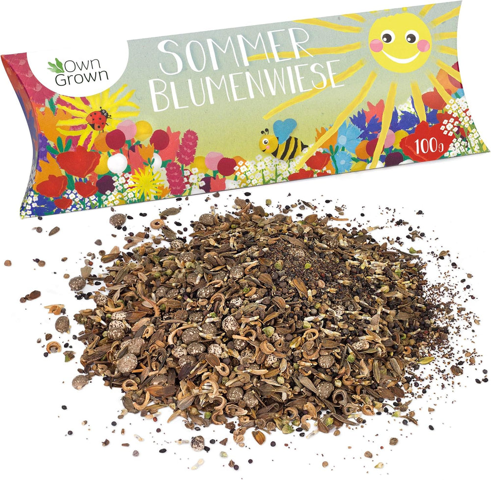 Schmetterlingstreff Blumenmischung: 100G Premium Schmetterling Blumensamen Saatgut - Insektenfreundliches Bienenweide Saatgut, Blumenwiese Samen Mehrjährig Und Einjährig - Wildblumensamen Von Owngrown