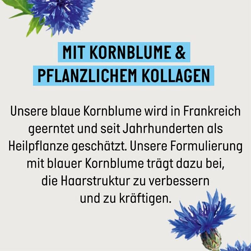 Guhl Langzeit-Volumen-Shampoo – 250 ml Naty Shop