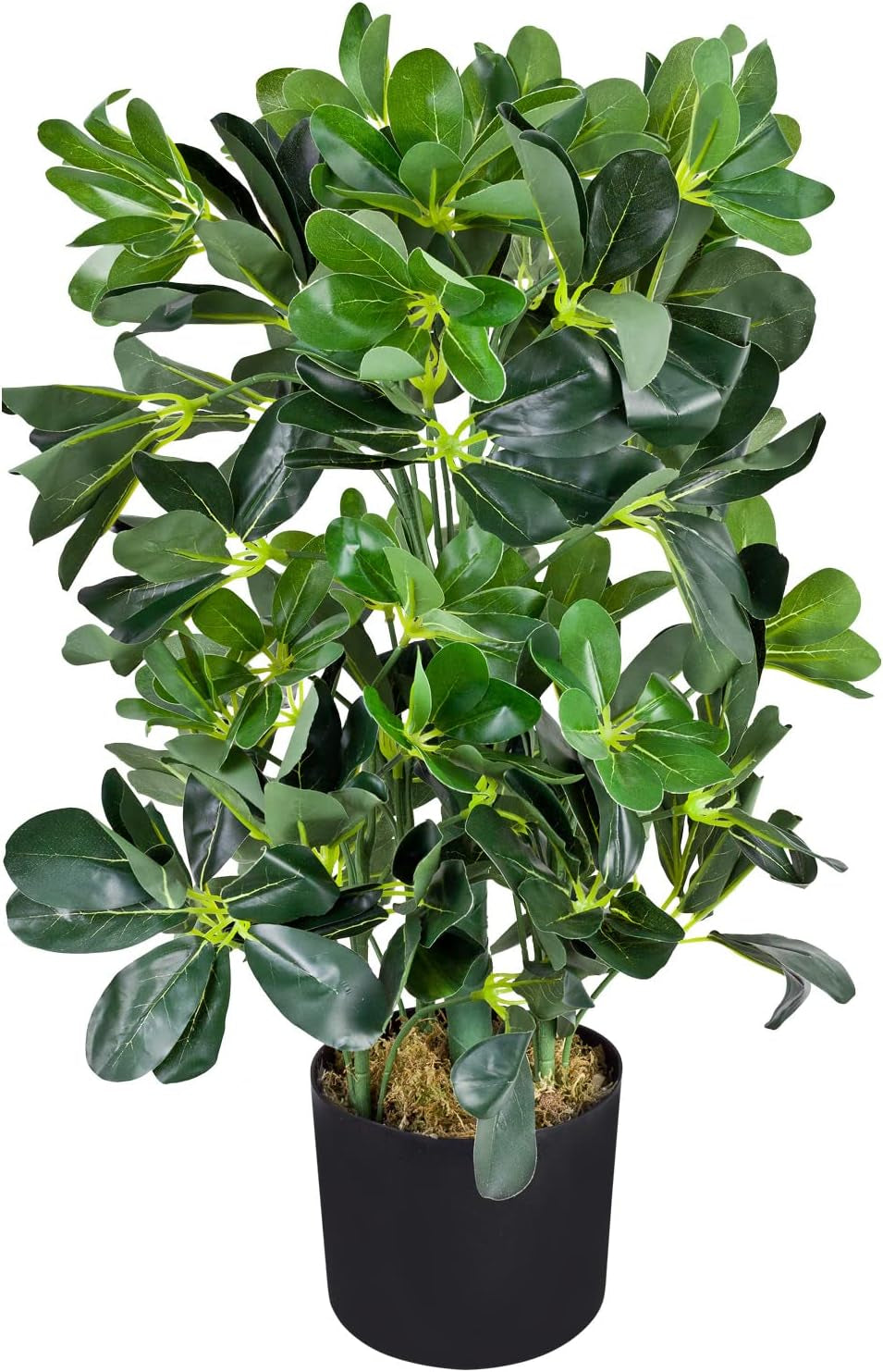 Decovego Schefflera Kunstpflanze, Künstliche Strahlenaralie 60 Cm, Robustes Kunststoffmaterial, Für Innenbereiche, Pflegeleichte Deko
