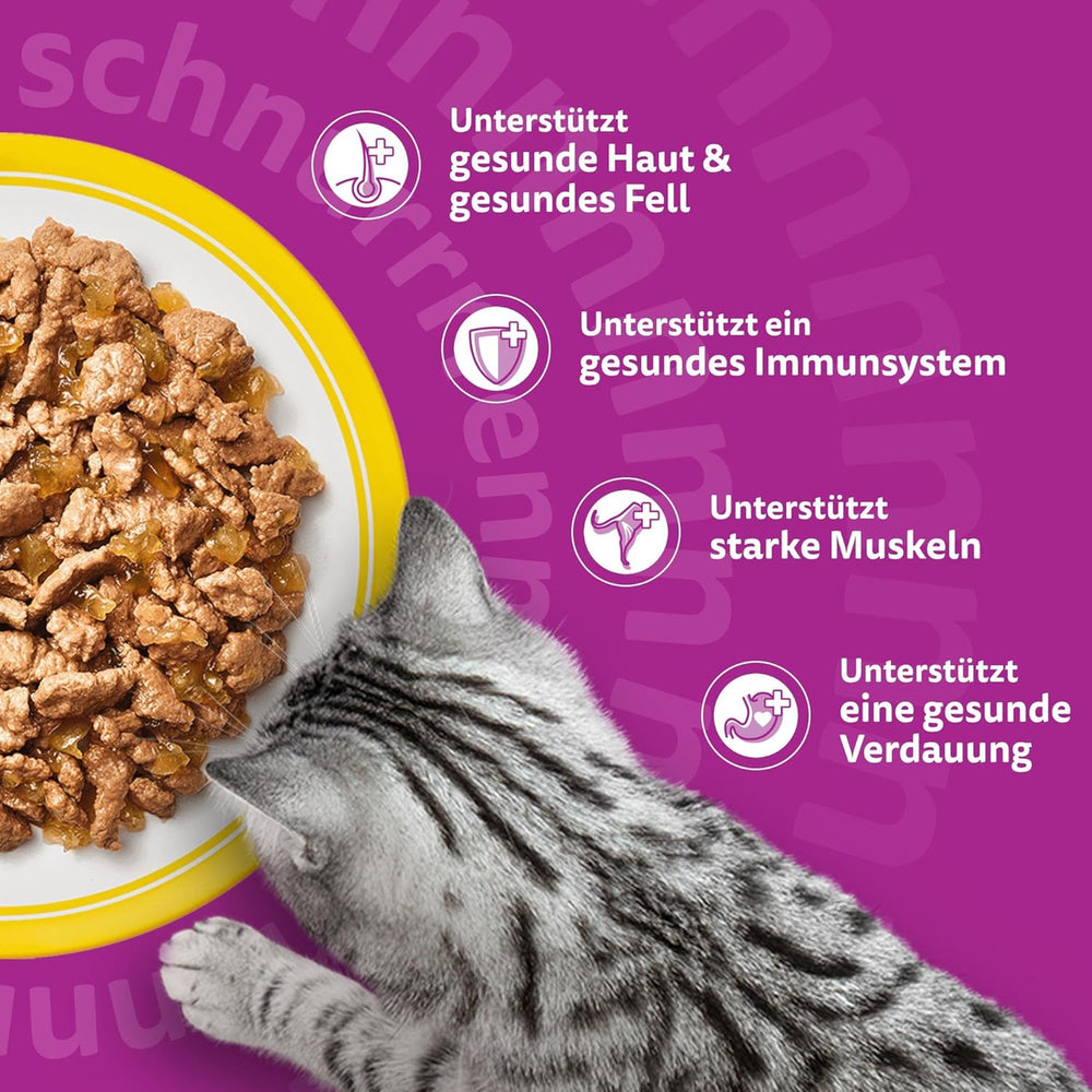 WHISKAS Hrană umedă pentru pisici în jeleu 120 x 85g Selecție de păsări de curte