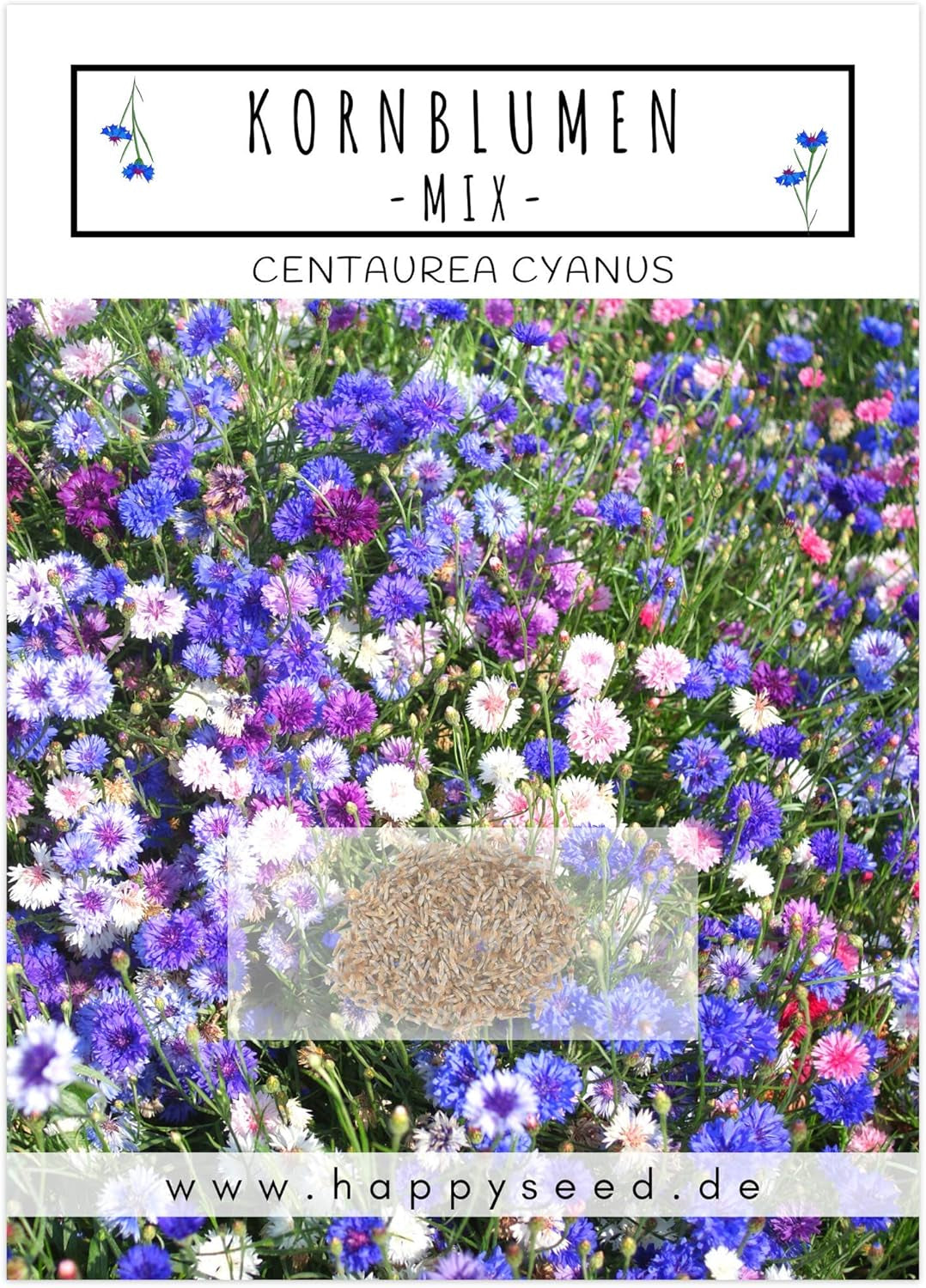 Semințe de albăstrele (Centaurea cyanus) - Flori frumoase și vibrante, cu o perioadă lungă de înflorire, pentru o pajiște cu flori colorate (Mix, 1000 de semințe, 80 cm)
