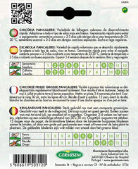 Endivie PANCALIÈRE EC2004 Mehrfarbig