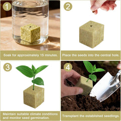 100 cuburi din vată de rocă pentru înmulțire, 25x25x25 mm, cu mănuși, izolație din vată de rocă, cuburi de înmulțire Easy Plug, cuburi din vată de rocă pentru hidroponie, butași, înmulțire fără sol