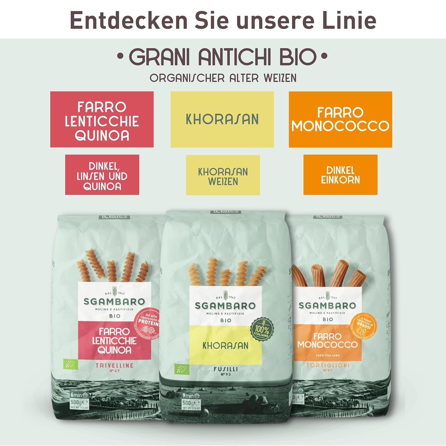 Bio-Penne-Rigate-Nudeln N.91 – 500 g aus Khorasan-Weizen – Uralter Weizen, reich an Proteinen, 100 % in Italien angebaut – Vielseitig in der Küche und reich an Nährstoffen