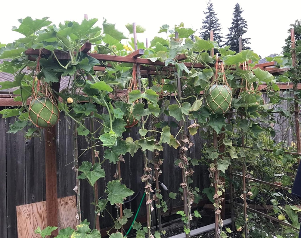Melonen Hängematten Wiegen, 5 Stück Netze Für Melonen, Perfekt Für Den Anbau Von Cantaloupe, Wassermelone Im Vertikalen Garten (Orange)