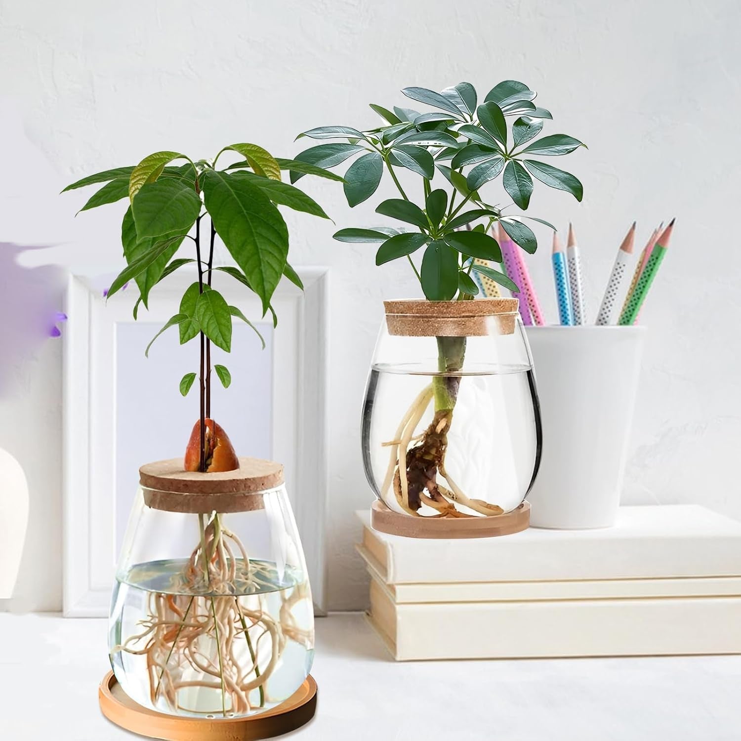 Stație de creștere a plantelor hidroponice, 12 x 11 cm, vază pentru semințe de avocado, ghiveci din sticlă, vază hidroponică din sticlă pentru plante acvatice sau flori, decor de masă pentru birou, 2 bucăți