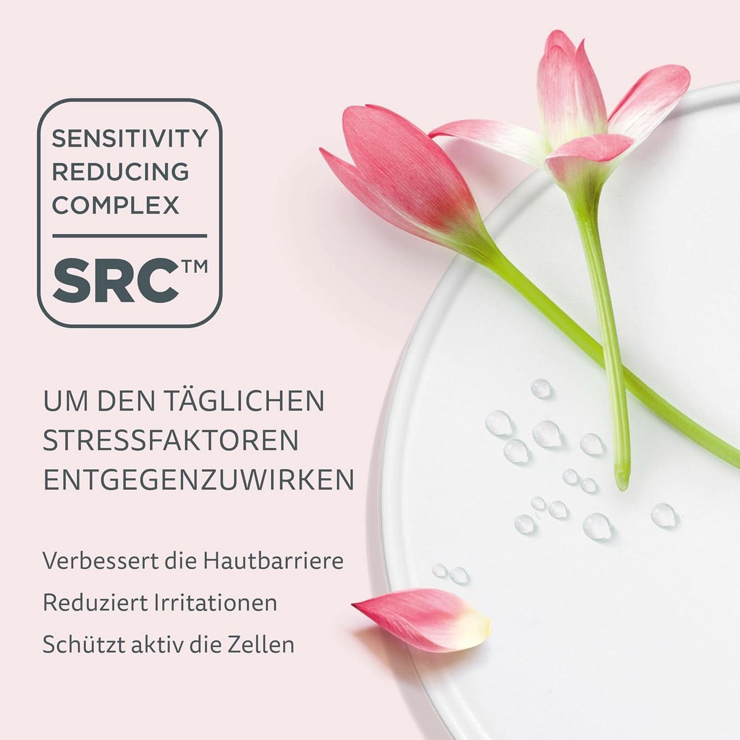 Declaré Essential Eye Lifting Serum 15 l - Intensives Lifting für die Augenlider Kosmetik und Schönheit Naty Shop