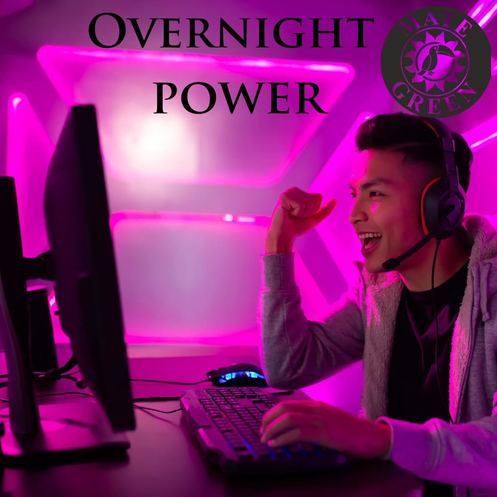 Yerba  SARSAPARILLA 400G ● Ceai Mate dulce și răcoritor ● Frunze de sarsaparilla ● Ceai Mate din frunze de mate ● Ceai Yebra Mate cu GUARANA 50G ● Ceai Yerba Mate cu frunze libere 450G ● Vegan