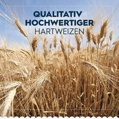 Pasta Barilla Classic Penne Rigate Nr. 73 aus hochwertigem Hartweizen, immer al dente (1 x 500 g)