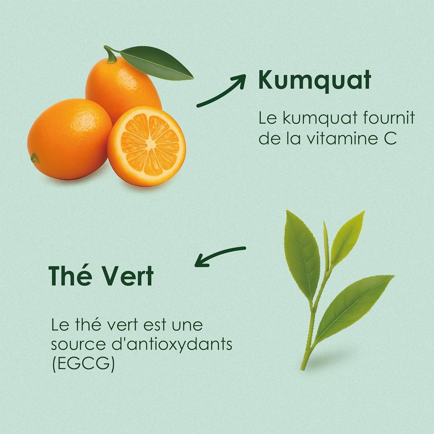Yunnan Tuocha Zouji - Ceai verde organic cu kumquat - Vitamina C - 100 pliculețe de ceai - 200 g - Calitate Yunnan garantată